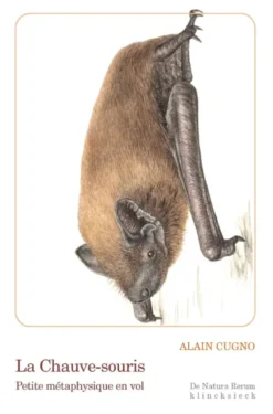 La Chauve-souris