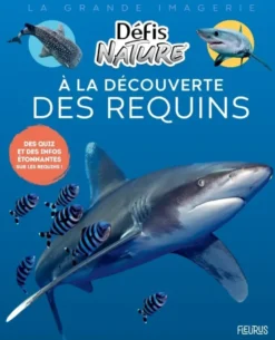 À la découverte des requins
