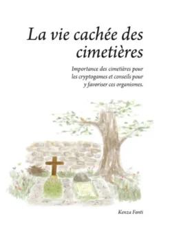 La vie cachée des cimetières