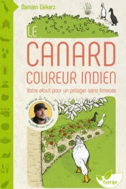 Le Canard coureur indien - Votre atout pour un potager sans limaces