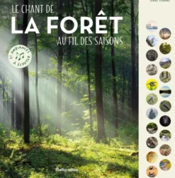 Le chant de la forêt au fil des saisons