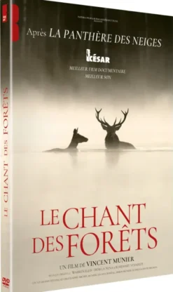 le chant des forets