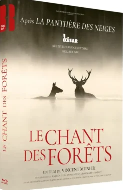 Le Chant des forêts (2025)