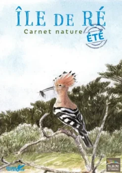Île de Ré, carnet nature ÉTÉ