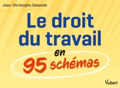 Le droit du travail en 95 schémas