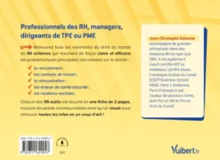 Le droit du travail en 95 schémas