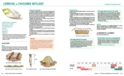Le guide Terre vivante du potager bio