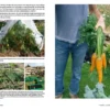 Le jardin aux 3 zones