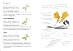 Le Petit Guide des Pires oiseaux à la con