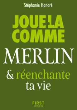 Le Petit livre - Joue-la comme Merlin et réenchante ta vie