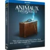 Les Animaux fantastiques - Blu-ray (2016)