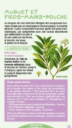 Les antisèches de Terre vivante : Aromathérapie pour les petits