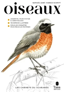 Les carnets du scarabée - Oiseaux