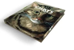 Les chats dans la peinture