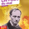Les Fleurs du mal