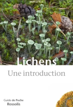 Lichens, Une introduction
