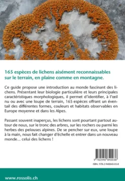 Lichens, Une introduction