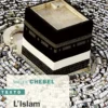 L'islam en 100 questions