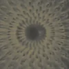 L'oeil du maître