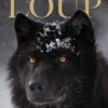 Loup