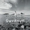 LP / Immram / Gwennyn