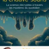 L'équation de la chauve-souris