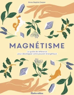 Magnétisme
