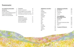 Méditations en balade