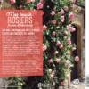 Mes beaux rosiers faciles et résistants