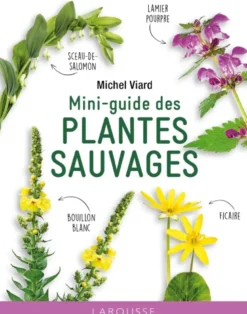 Mini-guide des plantes sauvages - NP