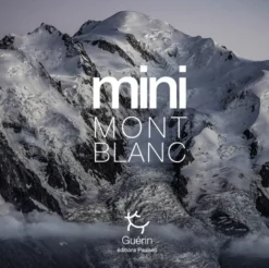 Mini Mont-Blanc
