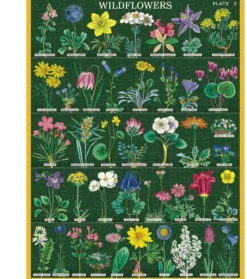 Mini Wildflowers