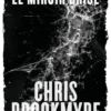 Miroir brisé