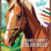 Mon grand carnet de coloriages AU GALOP