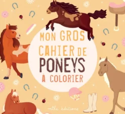 Mon gros cahier de poneys à colorier