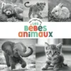 Mon imagier photos - Les bébés animaux