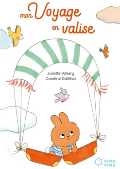Mon voyage en valise