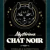 Mystérieux chat noir