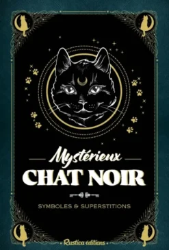 Mystérieux chat noir