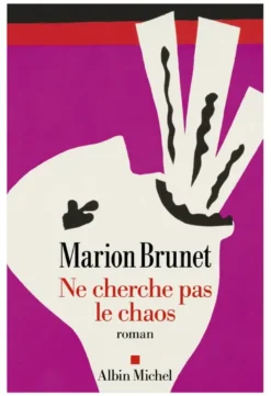 Ne cherche pas le chaos