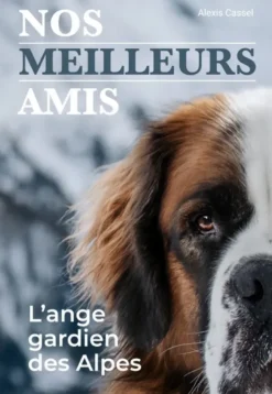 Nos meilleurs amis