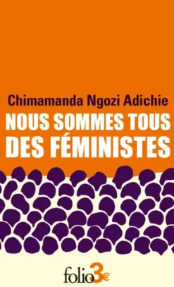 Nous sommes tous des féministes/Le danger de l'histoire unique