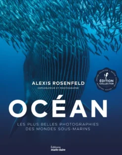 Océan