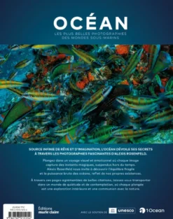 Océan