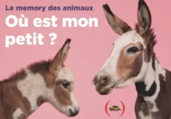 Où est mon petit ?