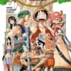 One piece Wiper le démon furieux