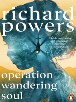 Operation Wandering Soul
