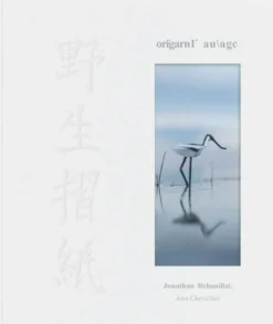 Origami sauvage