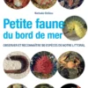Petite faune du bord de mer