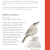 Petit guide des oiseaux à la con